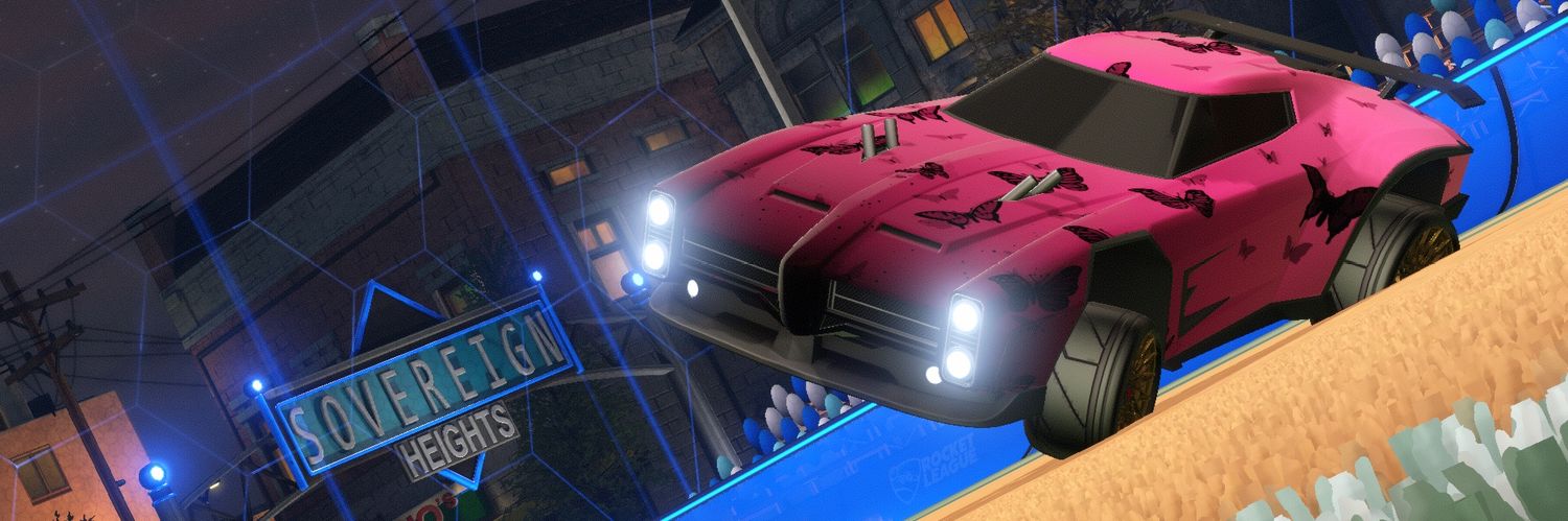 Rhino.RL banner