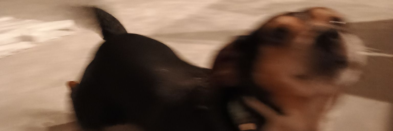 sl33t banner