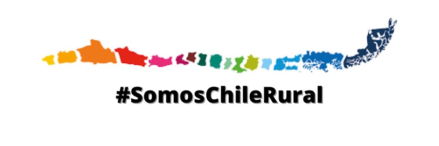 AMUR_CHILE's profile banner image