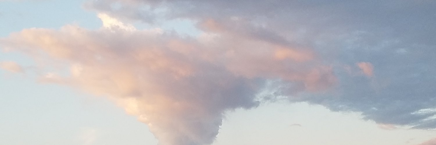 MandaLynne62's profile banner image