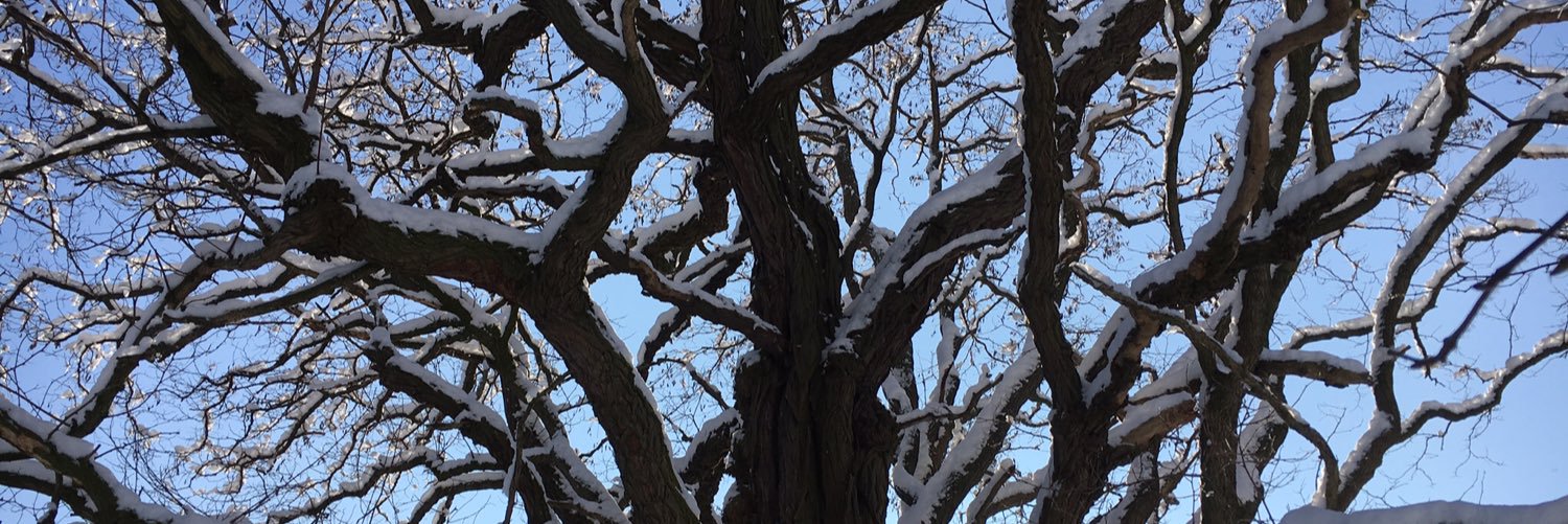 MVenhaus's profile banner image