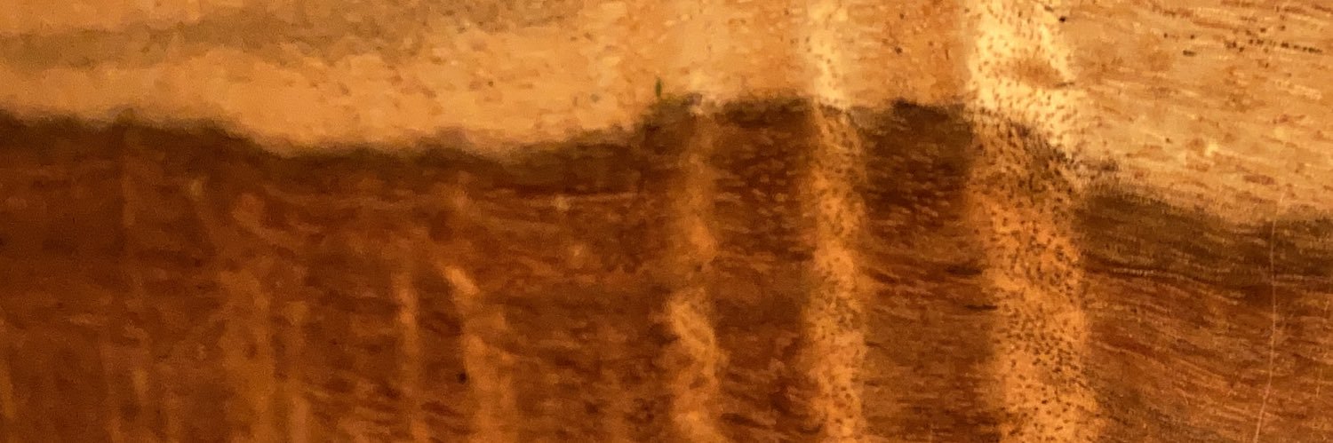 hizzydizz's profile banner image