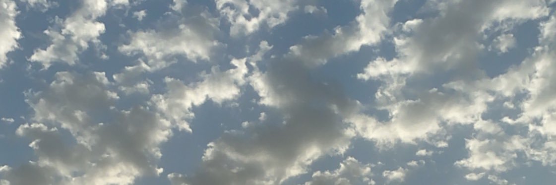 bold_kwt's profile banner image