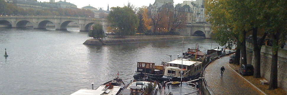 Andria Krewson banner