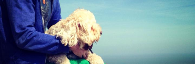 stejames10's profile banner image