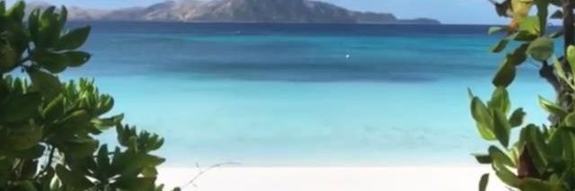 evitisop❤💙💚💛💜 banner