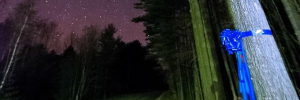 JulieMurray2_9 Profile Banner