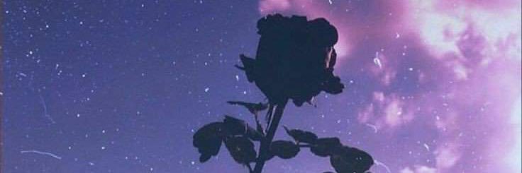 thr_maeva's profile banner image