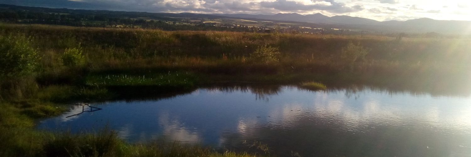 Shaz_Sinclair's profile banner image