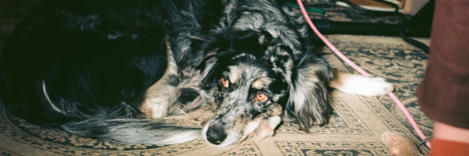 Heavy Sweater banner