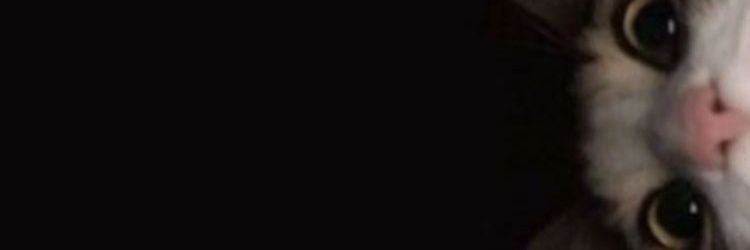 Searmibs's profile banner image