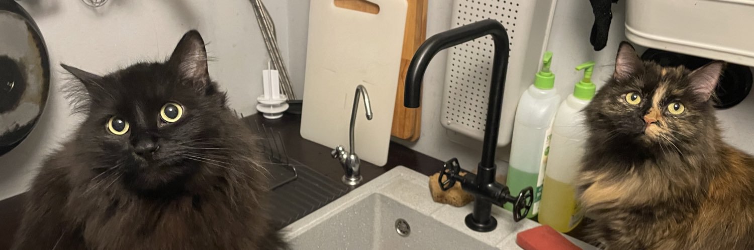 эдитор ин чих banner