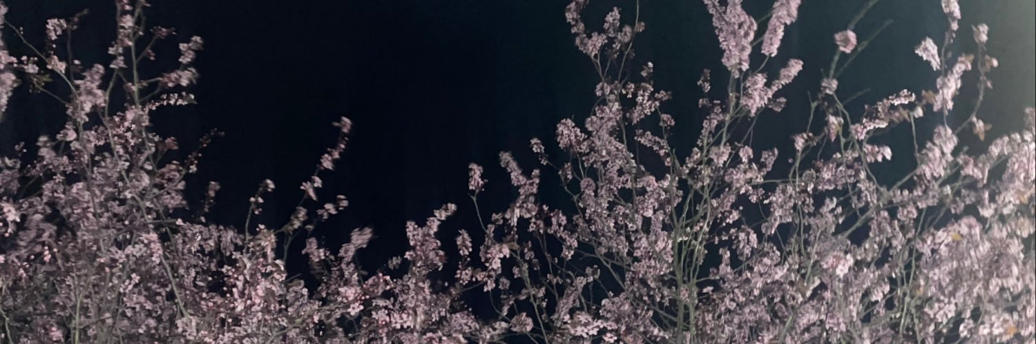 🌷 𝐋𝐀𝐋𝐀 🧡💚's banner