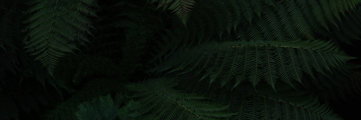 GuioseLiiloute's profile banner image