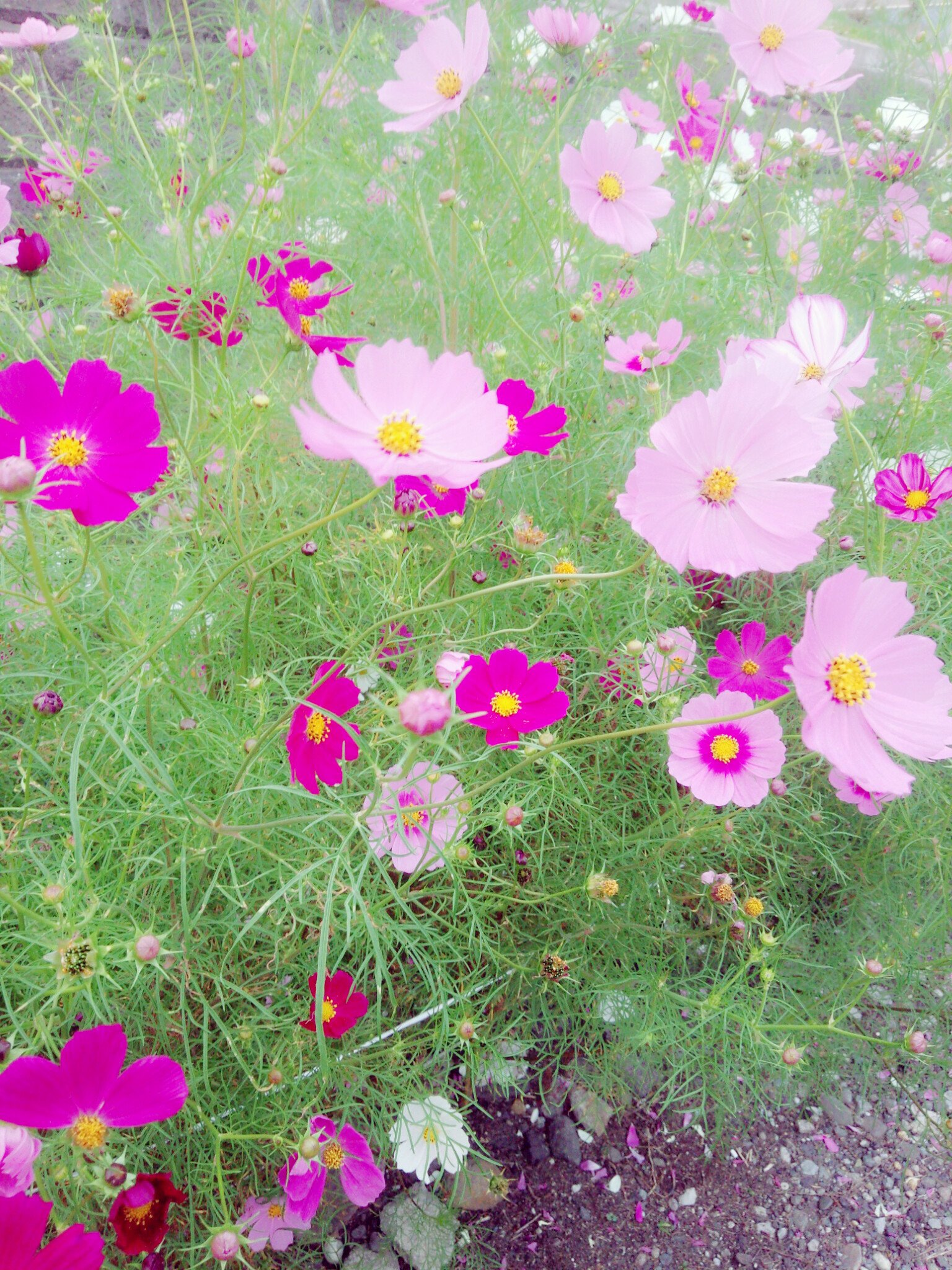 une_nacre's profile banner image