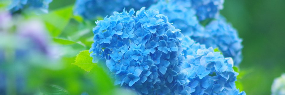 as__sa's profile banner image