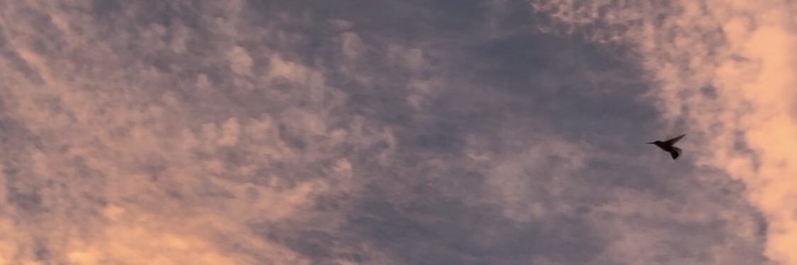 Pili Glez Blasco banner