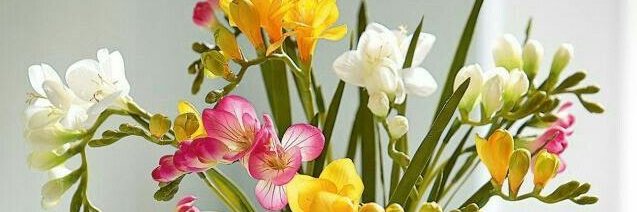 DasTerе 💖's banner