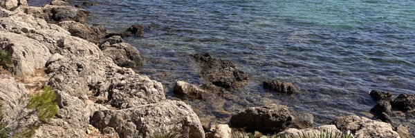 Txxxxx_03F Profile Banner