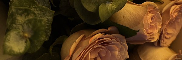 XIAOXIONG028 Profile Banner