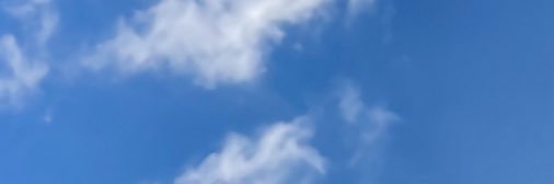 hollie banner