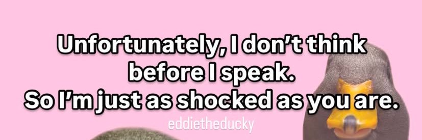 elleninavoid's profile banner image