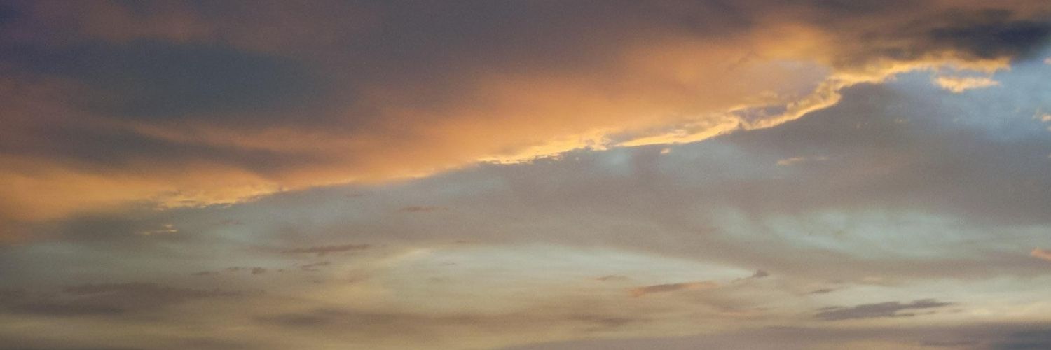 _CocoRR's profile banner image
