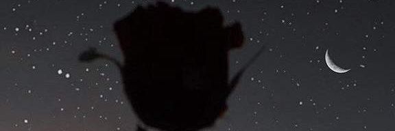 AgusSolanas's profile banner image
