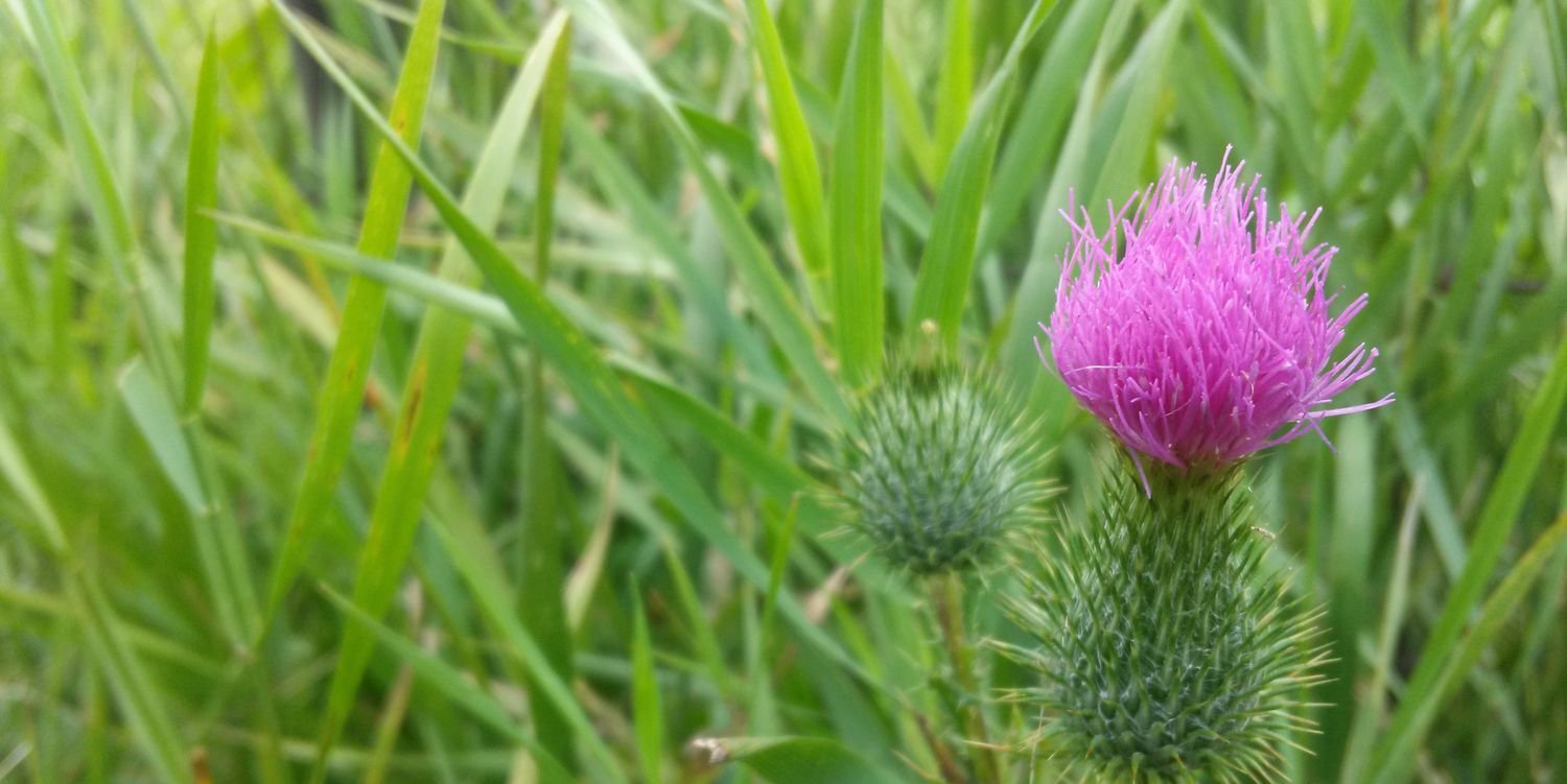 Bryan Abendschein banner
