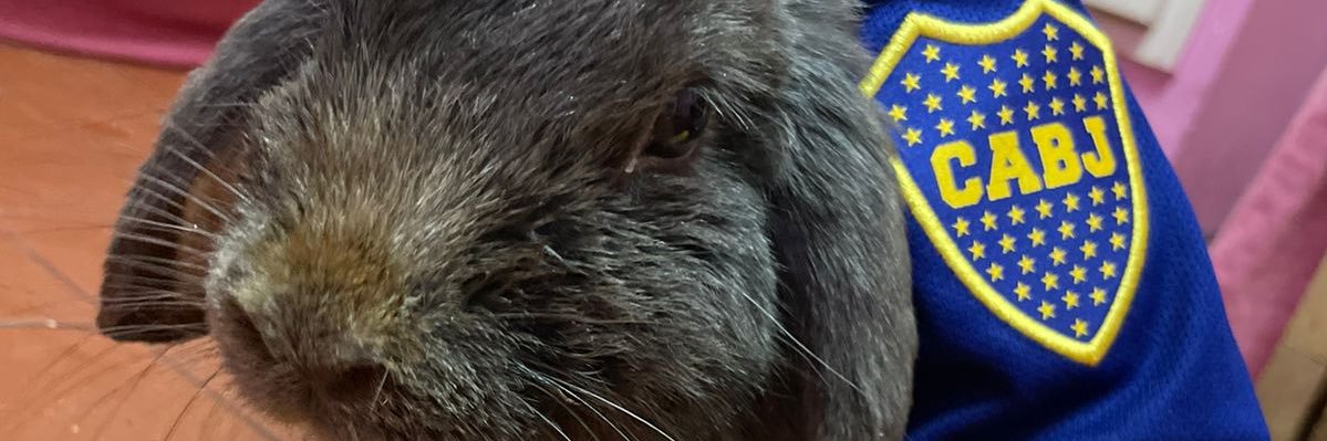 MelPastor_'s profile banner image