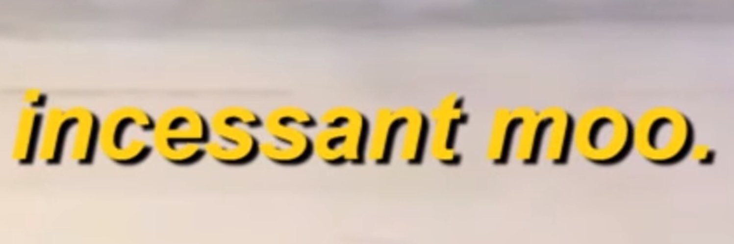 🐮 The Damn Duke of Dairy 🐮 banner