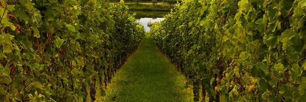 perladelgarda Profile Banner