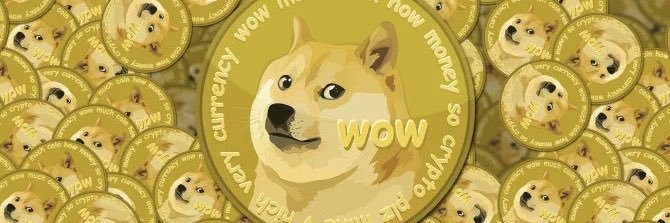 DogeLatAm's profile banner image