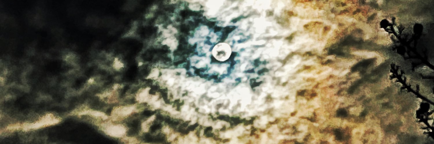 Bitcoin And Crypto For #ADOS 🇺🇸 banner