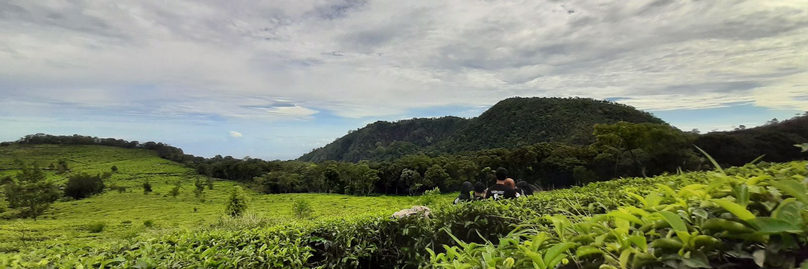 ujunim's profile banner image