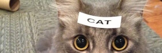 @carterwickstrom.bsky.social banner