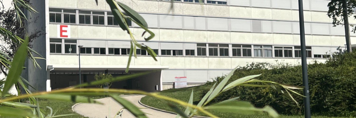 Cité Scolaire Victor Considerant banner