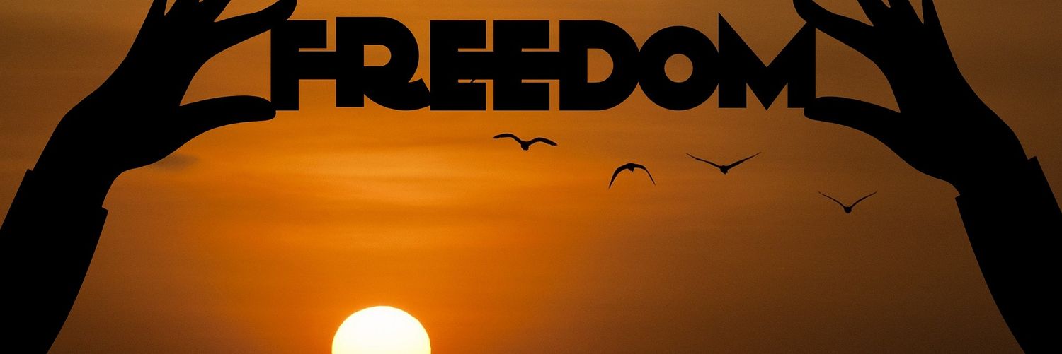 Alisid00's profile banner image