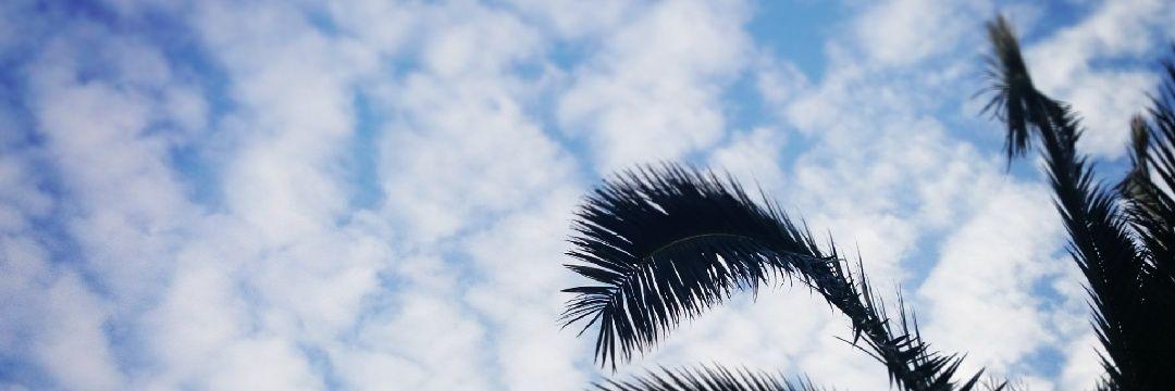 may12may's profile banner image