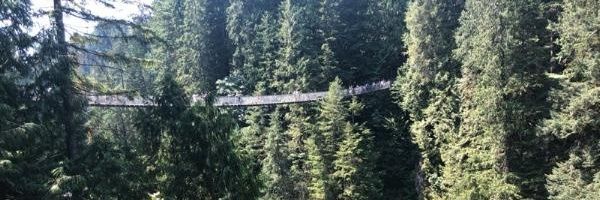 nmaxwell01's profile banner image