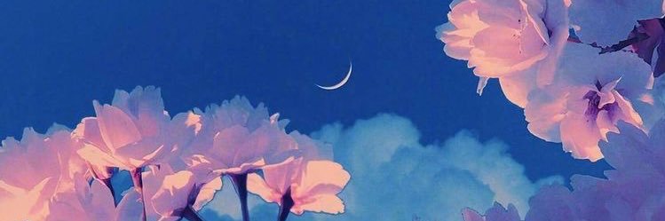 discountghostie's profile banner image