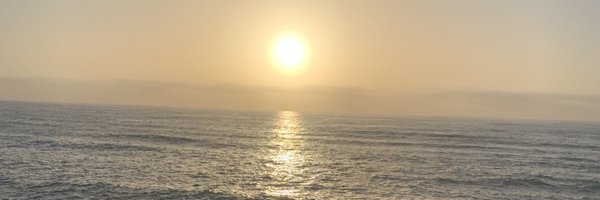 anahuwaelonmusk Profile Banner