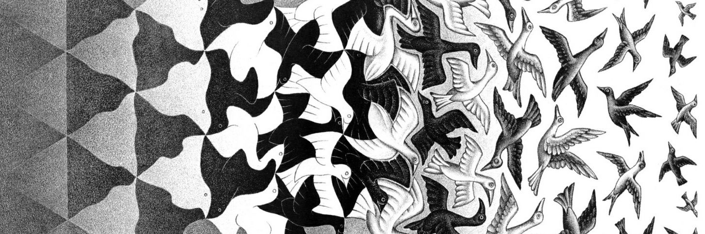 m_bortkiewicz's profile banner image