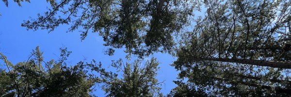 Shan_Snelling Profile Banner