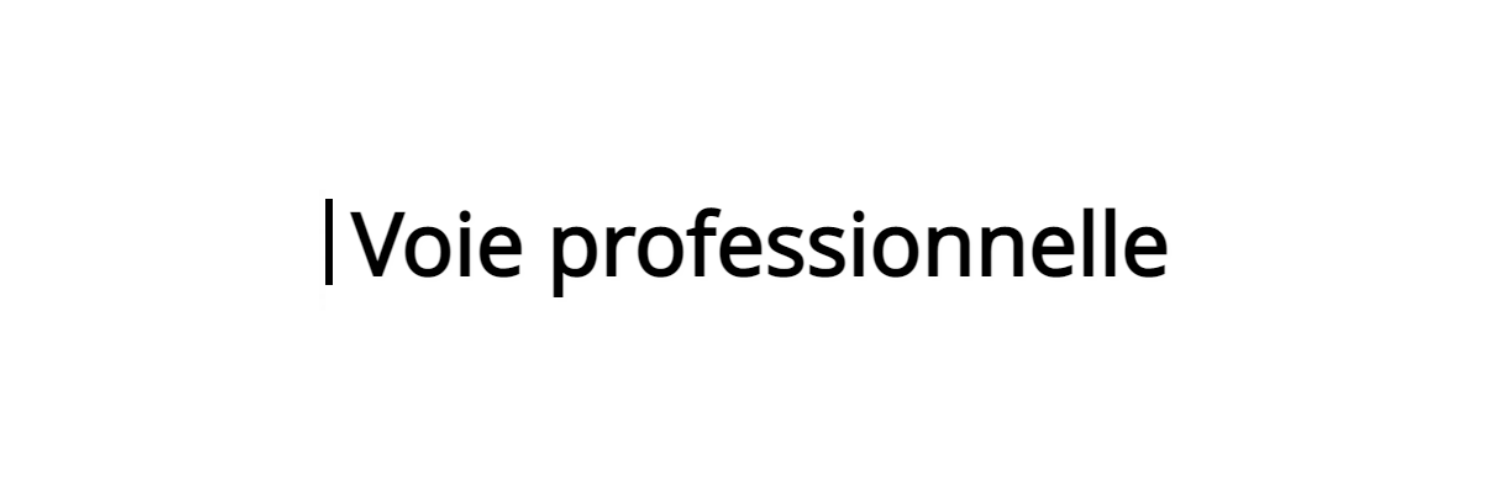 Voie Professionnelle - Académie de Versailles banner