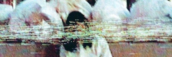pswaggaa's profile banner image