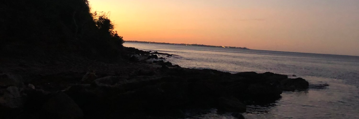FeeFeeCee's profile banner image