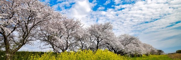 hawk318snow's profile banner image