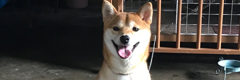 kaho088's profile banner image