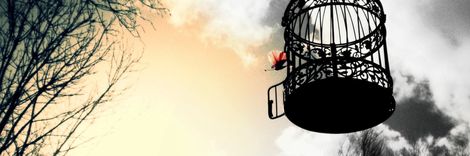 RuC_Ashton's profile banner image